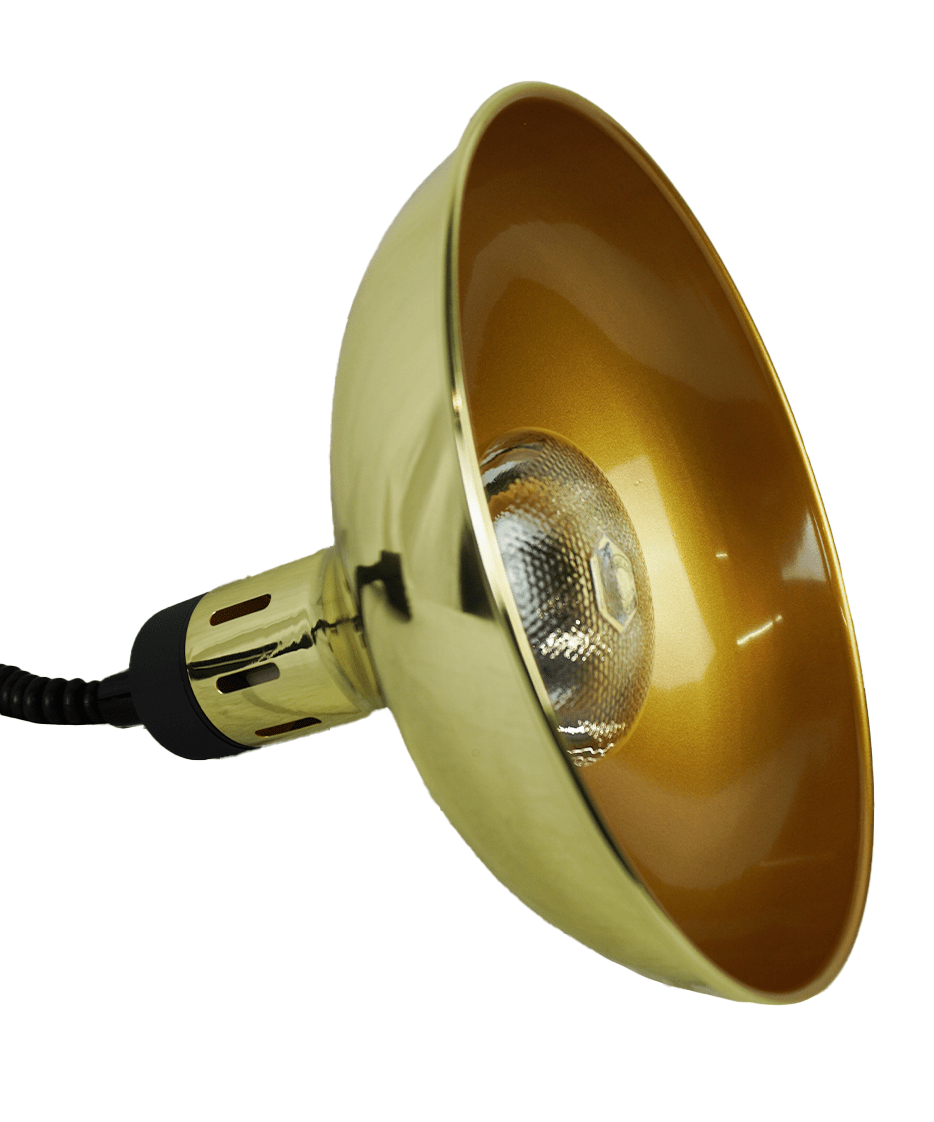 7455_1820_3-min_1 CS teleskopinė šildymo lempa CH-03 auksinė - Image 5